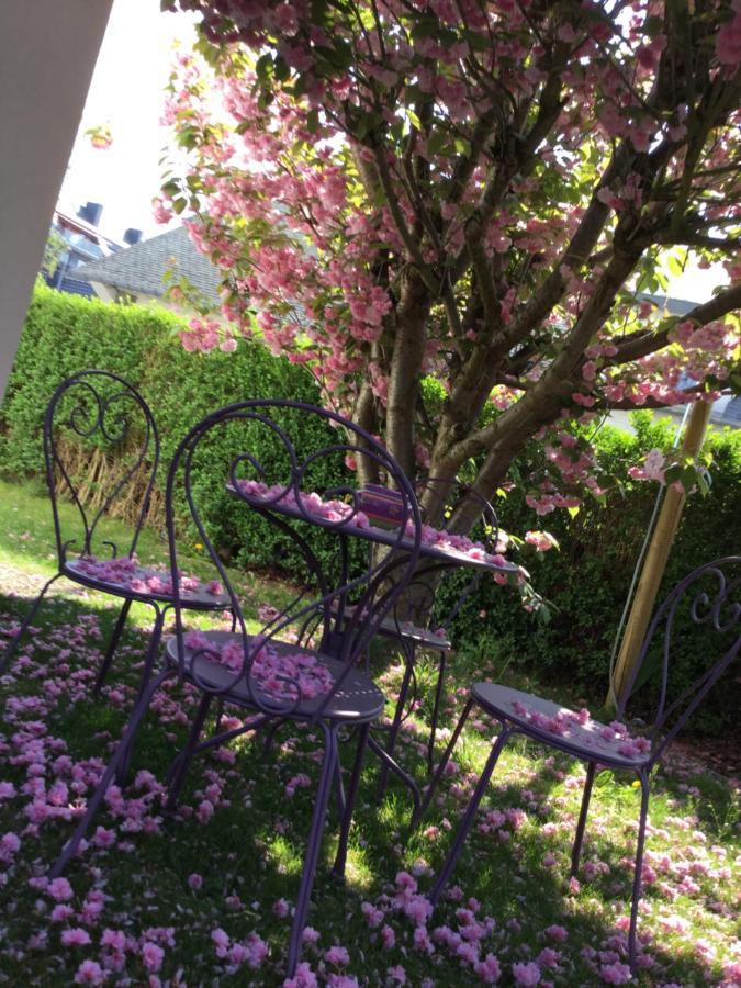 B&B Supérieur Villa vanille Namur Esterno foto